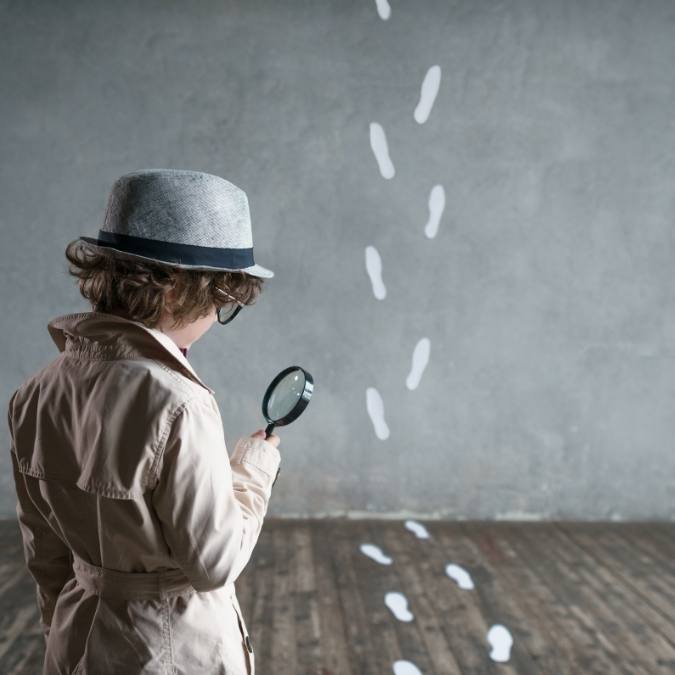 Detetive Particular Em Porto Velho