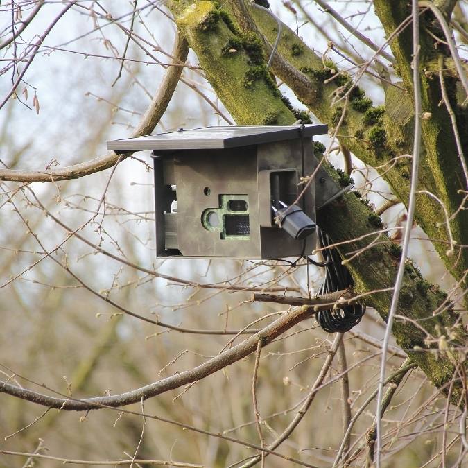 Preciso de um Detetive Particular Preciso De Um Detetive Particular