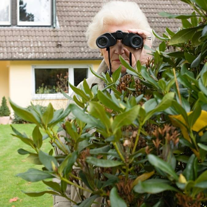 O Que Advogados Devem Saber Sobre Perícia Digital No Processo Judicial